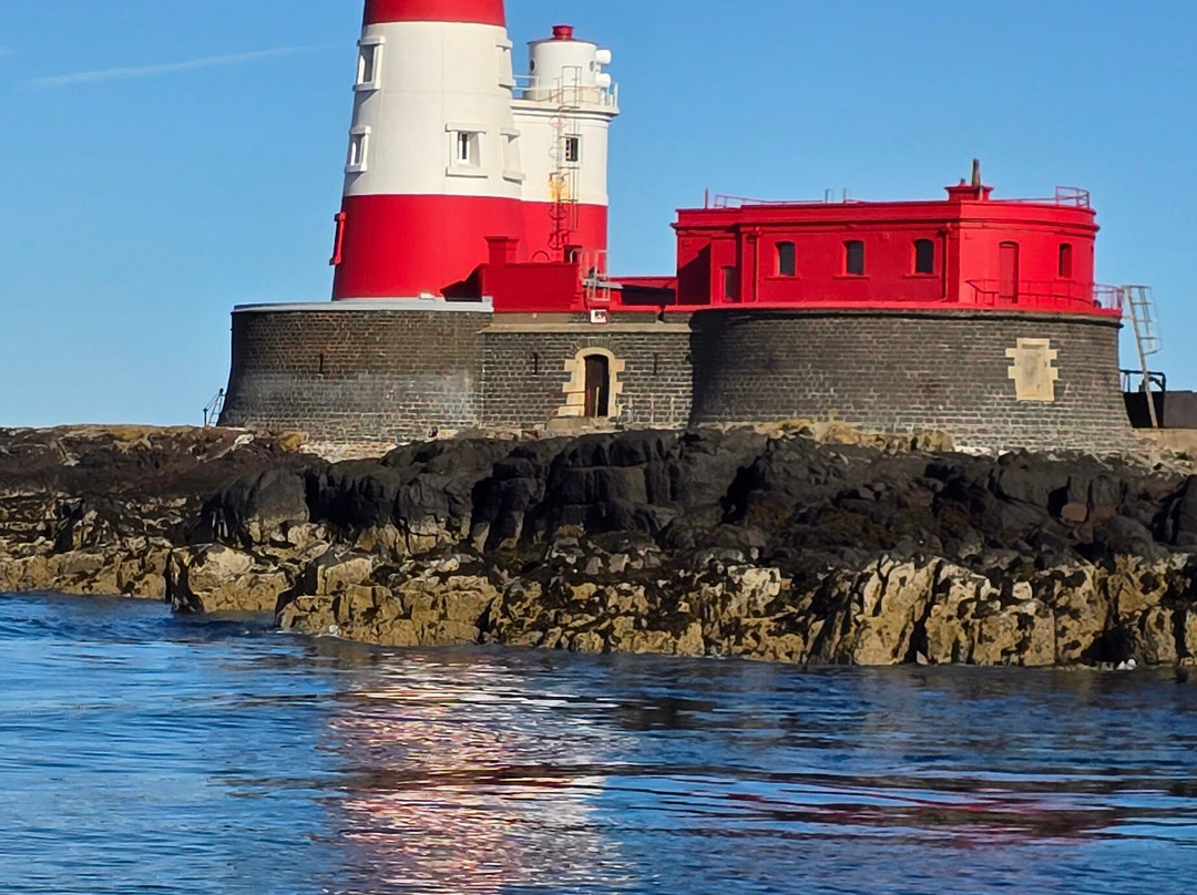 Serenity Farne Island Boat Tours-Seahouses必去景点