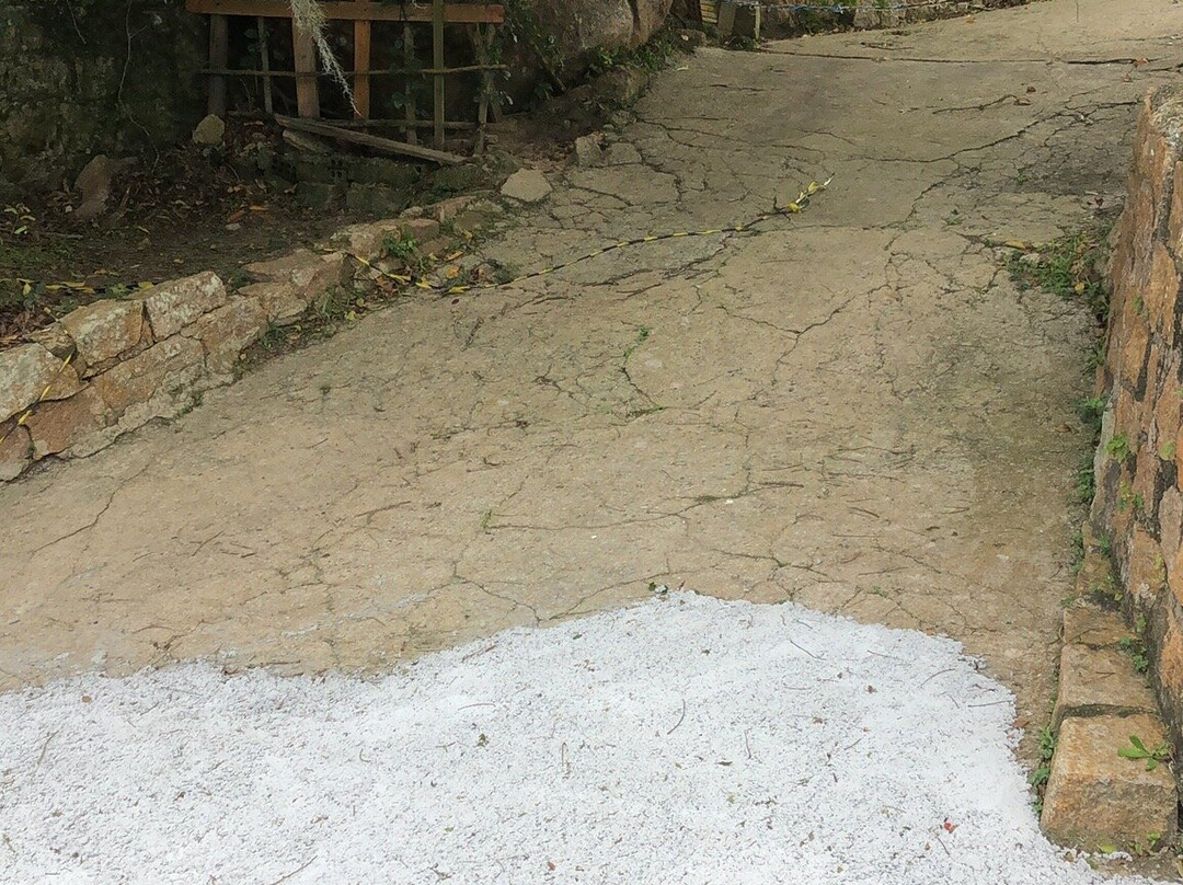 Daniela's Beach-弗洛里亚诺波利斯必去景点