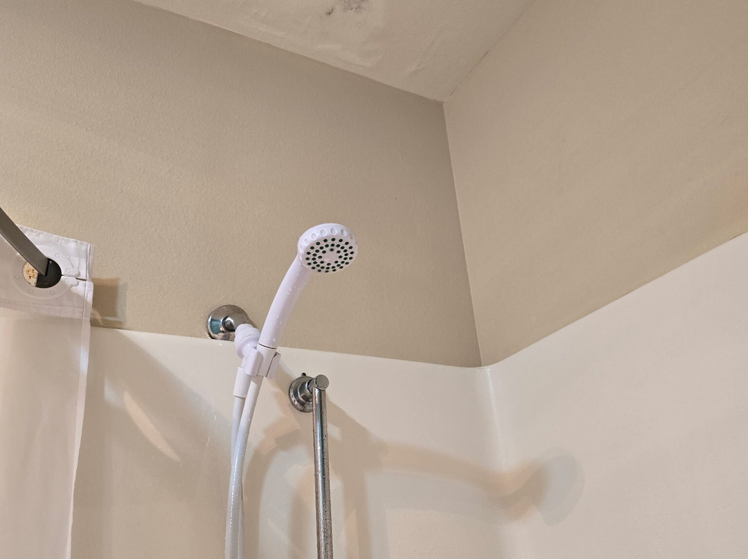 Super 8 by Wyndham Huron主图