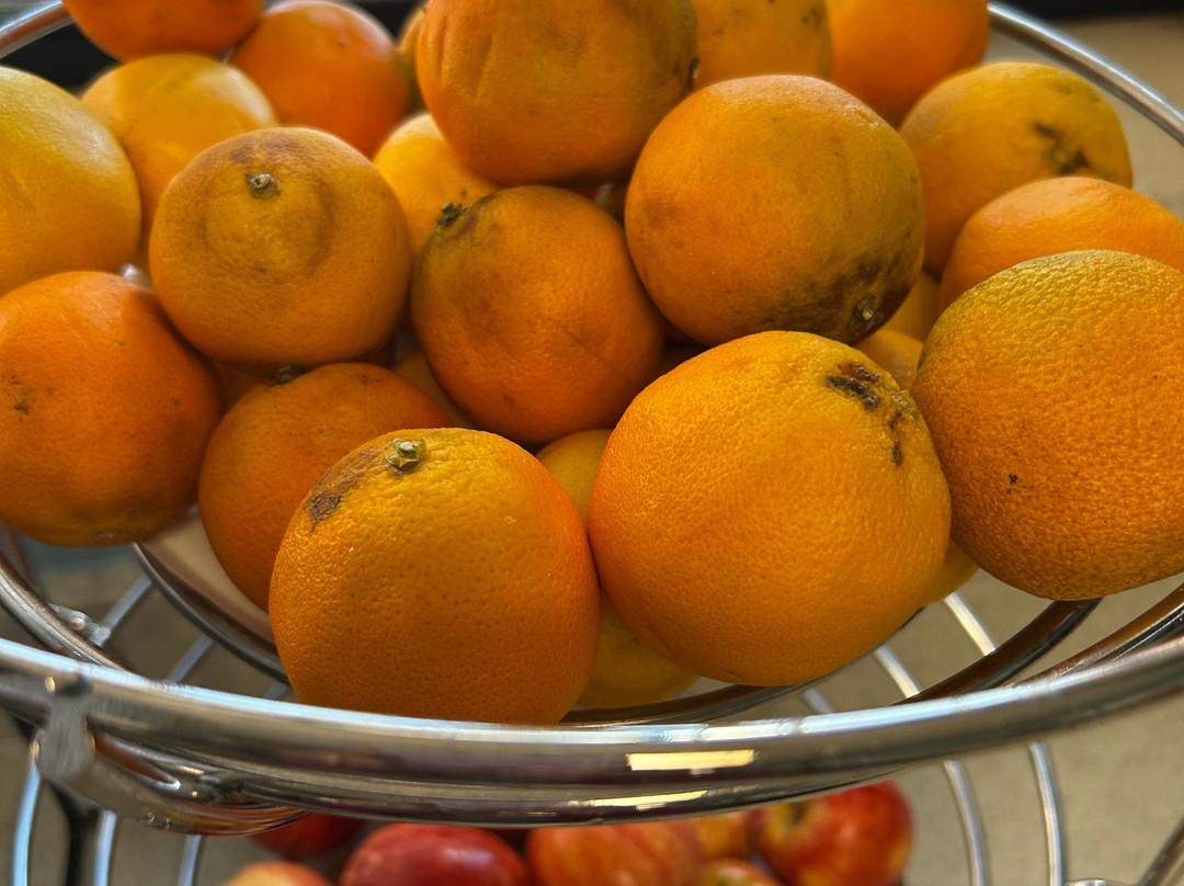 佩吉/鲍威尔湖戴斯套房酒店主图