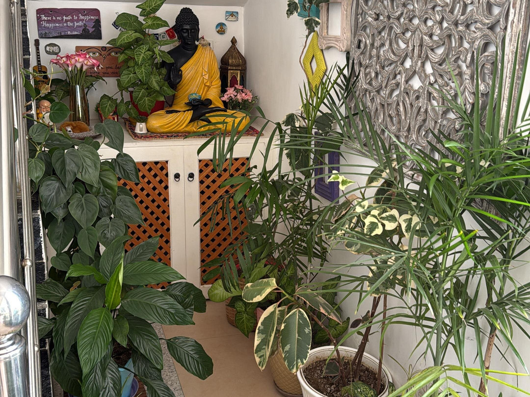 The Himaal, Bir主图