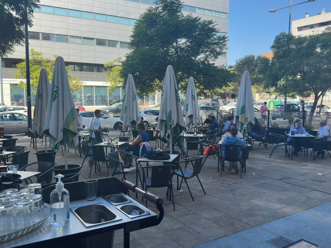 Tankas La Boutique Del Cafe