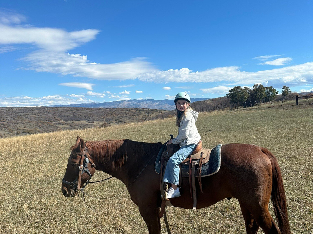 Saddleback Ranch-斯廷博特斯普林斯必去景点