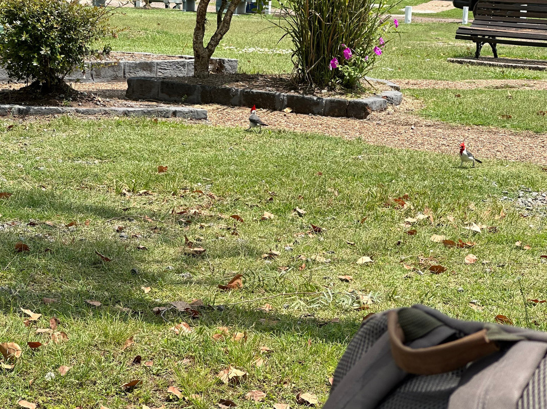 Termas de Guaviyú-Paysandu必去景点