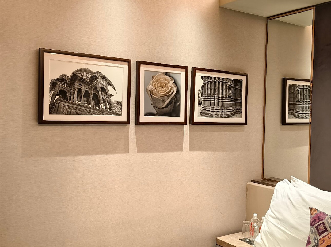 The Park Indore主图