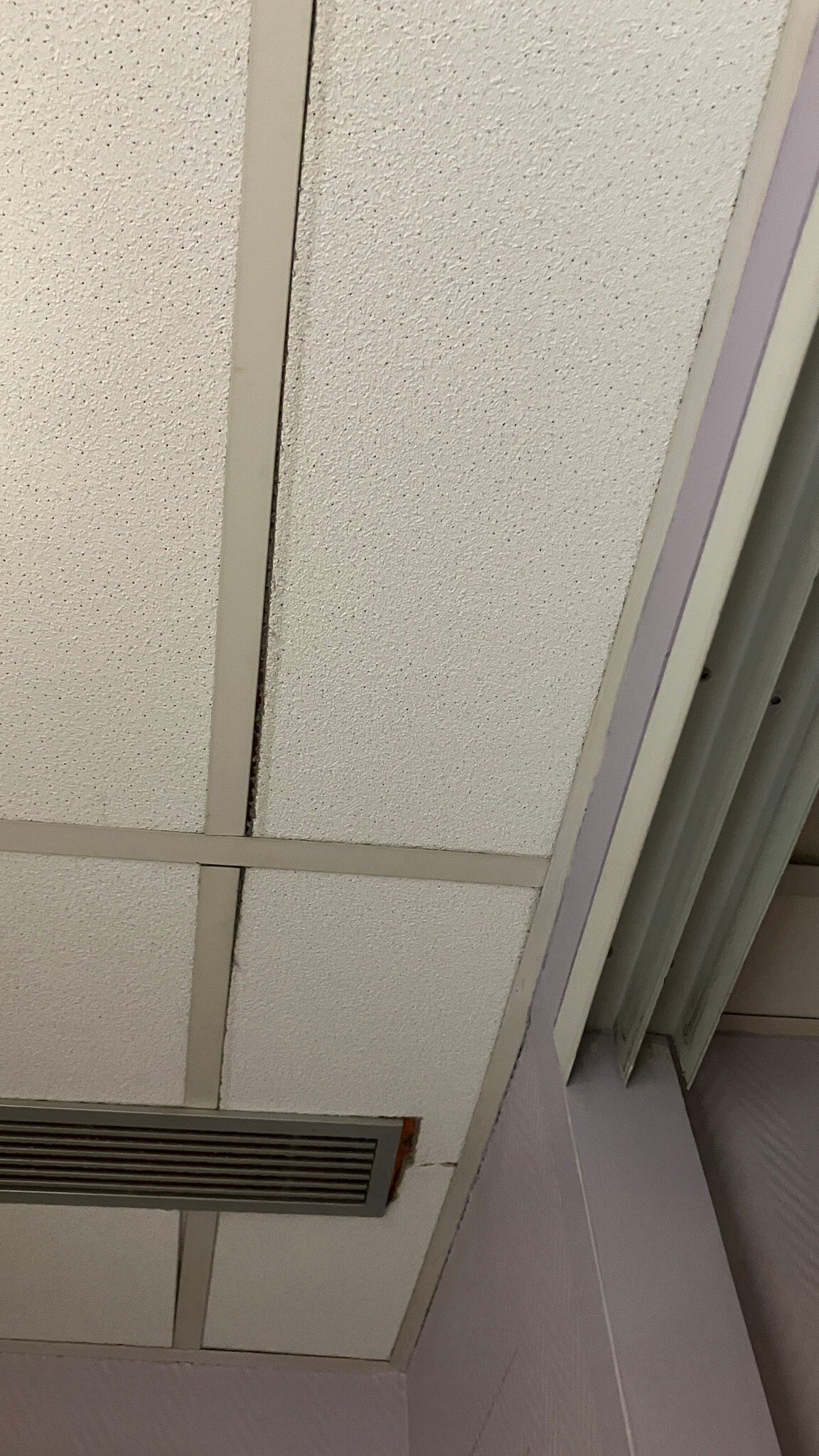 维莱特假日酒店-官方
