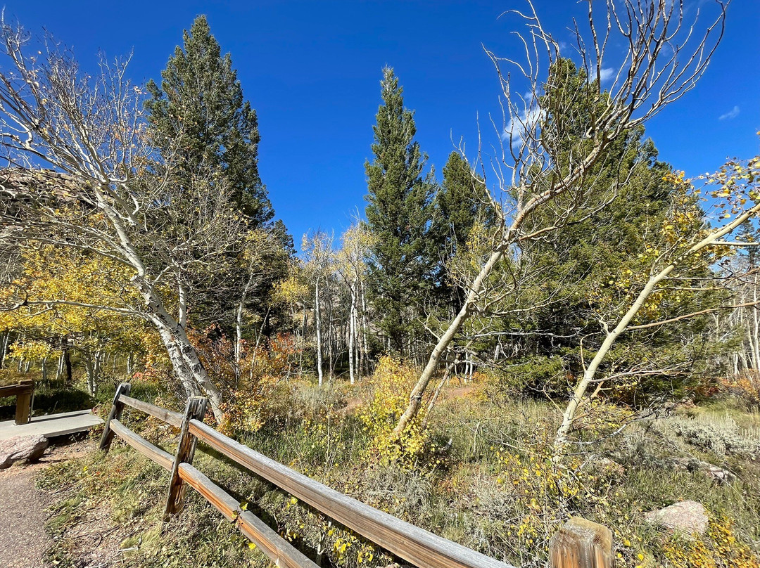 Vedauwoo-拉勒米必去景点