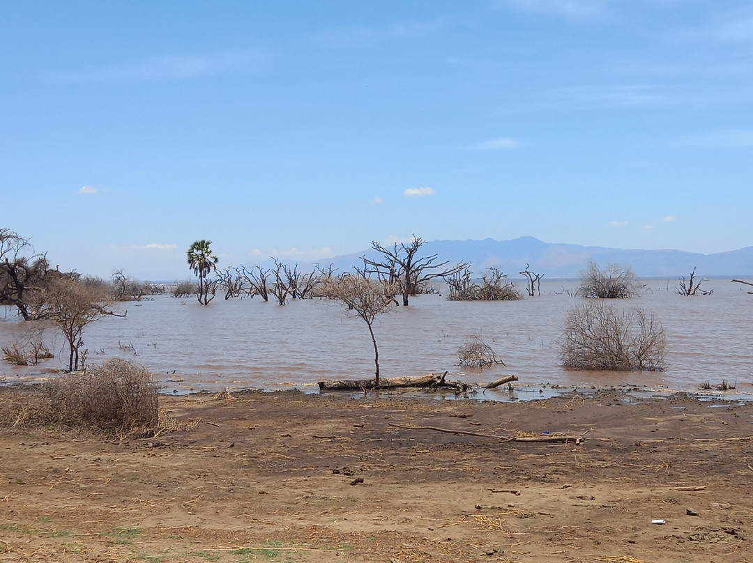Lake Manyara-Lake Manyara National Park必去景点