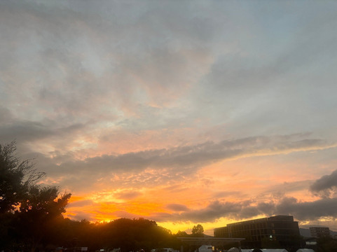 Umekoji Park-京都市必去景点