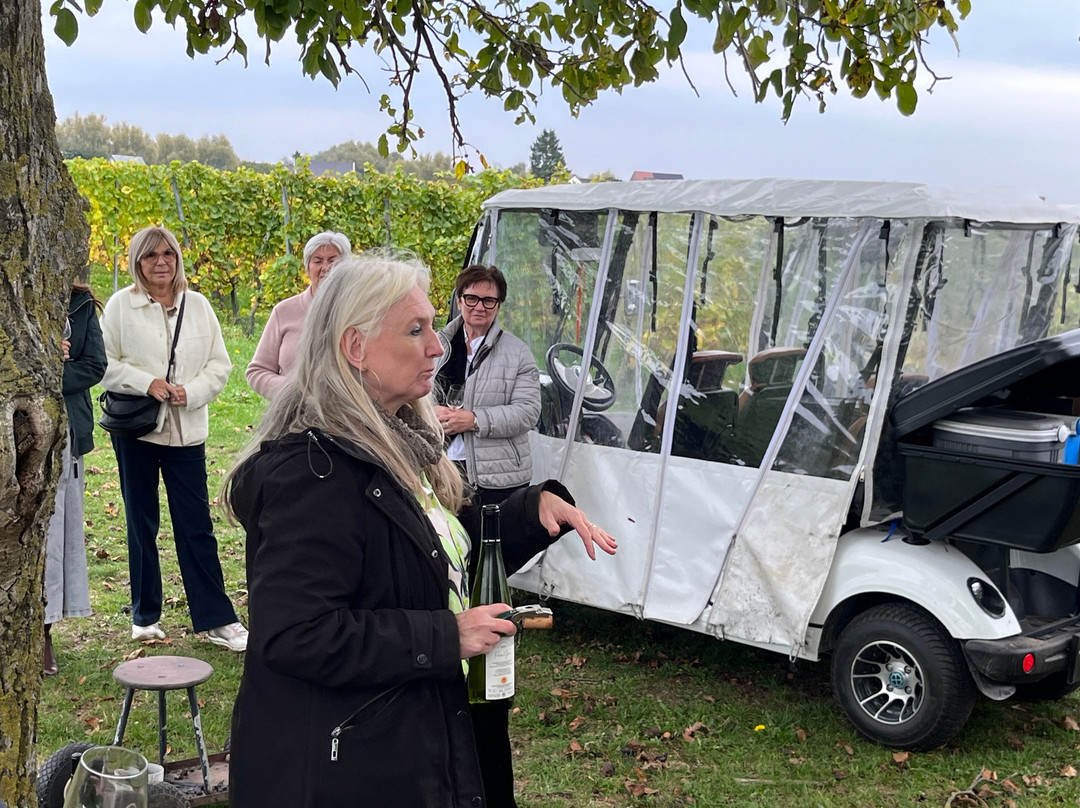 Wijnsafari In De Maasvallei-Kinrooi必去景点