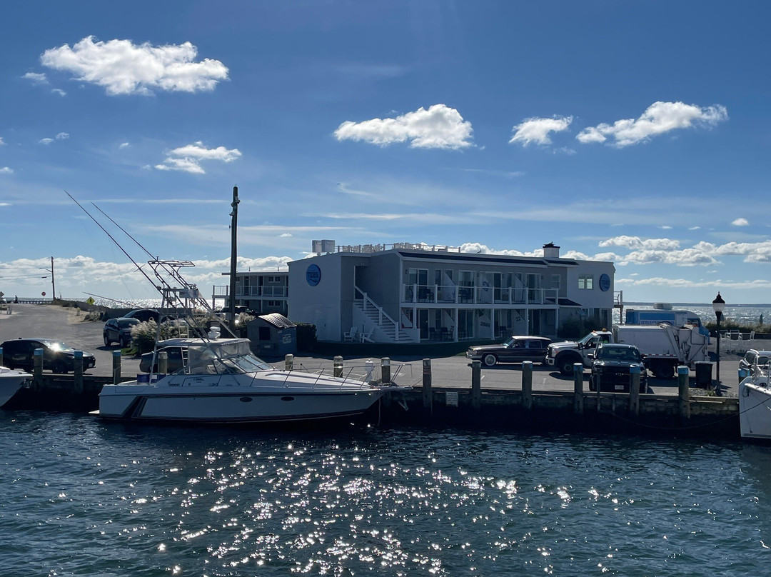 Falmouth Tides主图