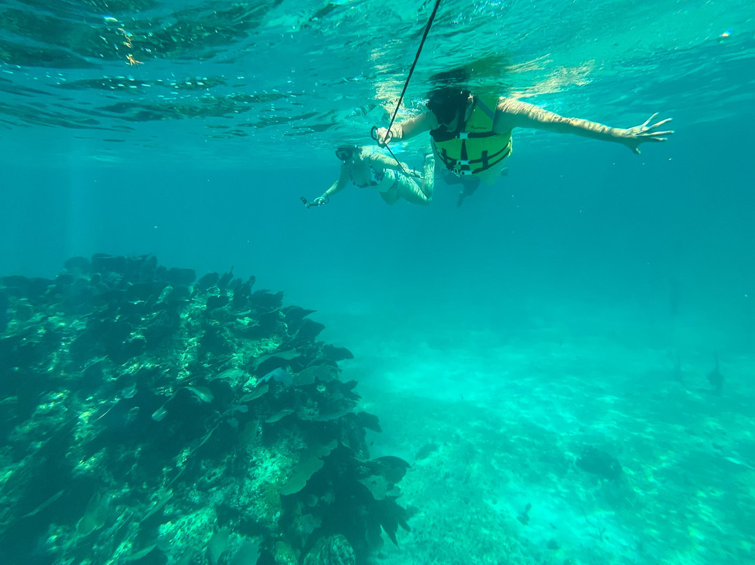 Cozumel Pearl Farm-考祖梅必去景点