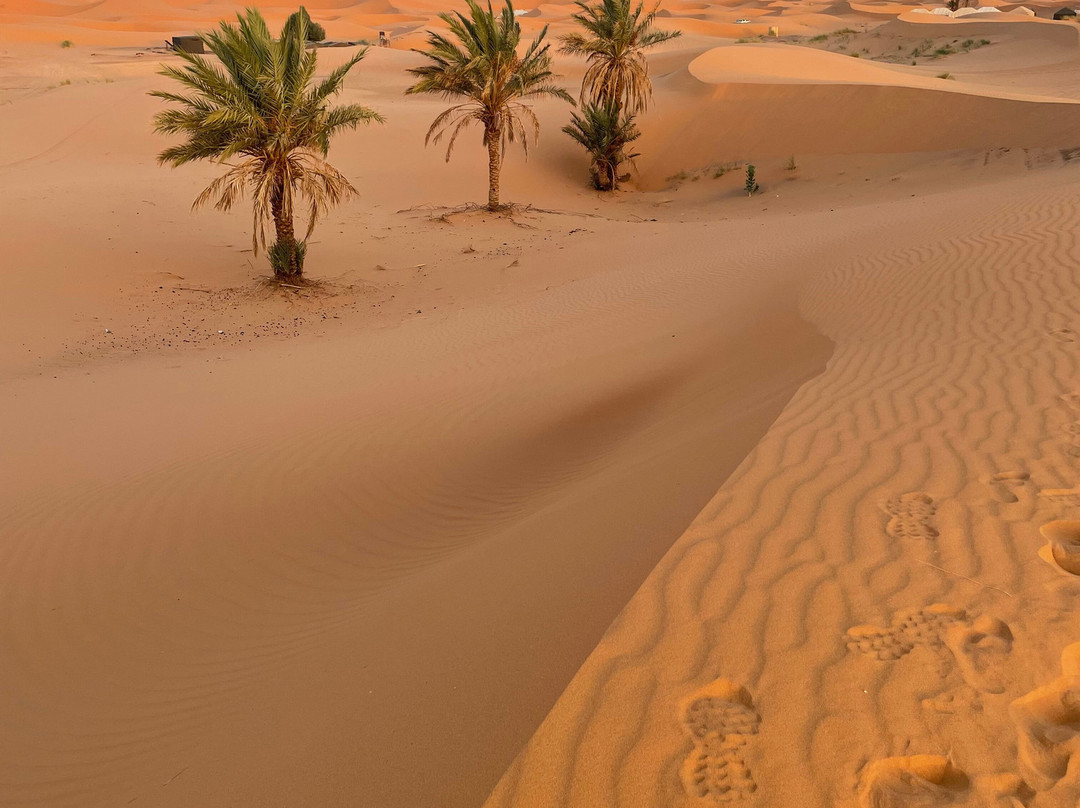 Redspezia-Marrakech-Safi必去景点