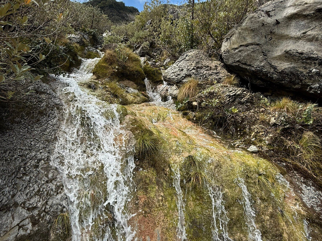 The Old Ghost Road-韦斯特波特必去景点