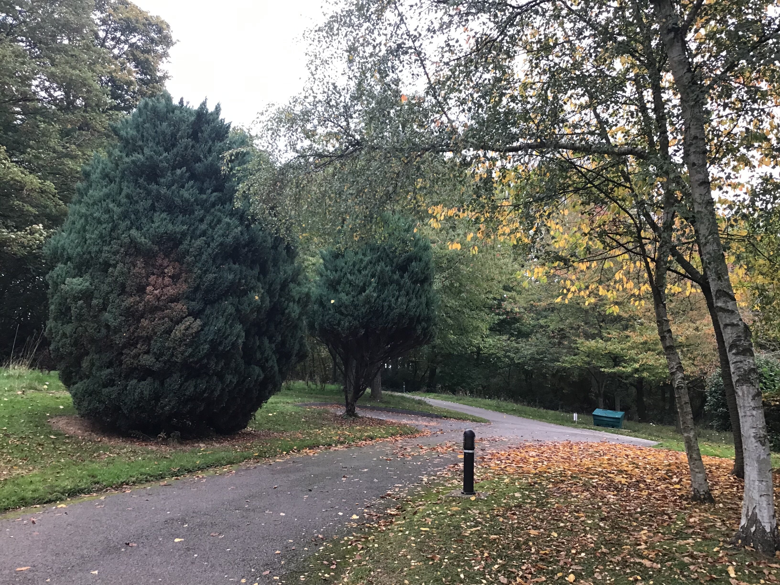 Belton Woods Lodges-浴室