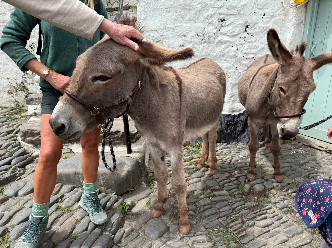 The Donkey shop-Clovelly必去景点