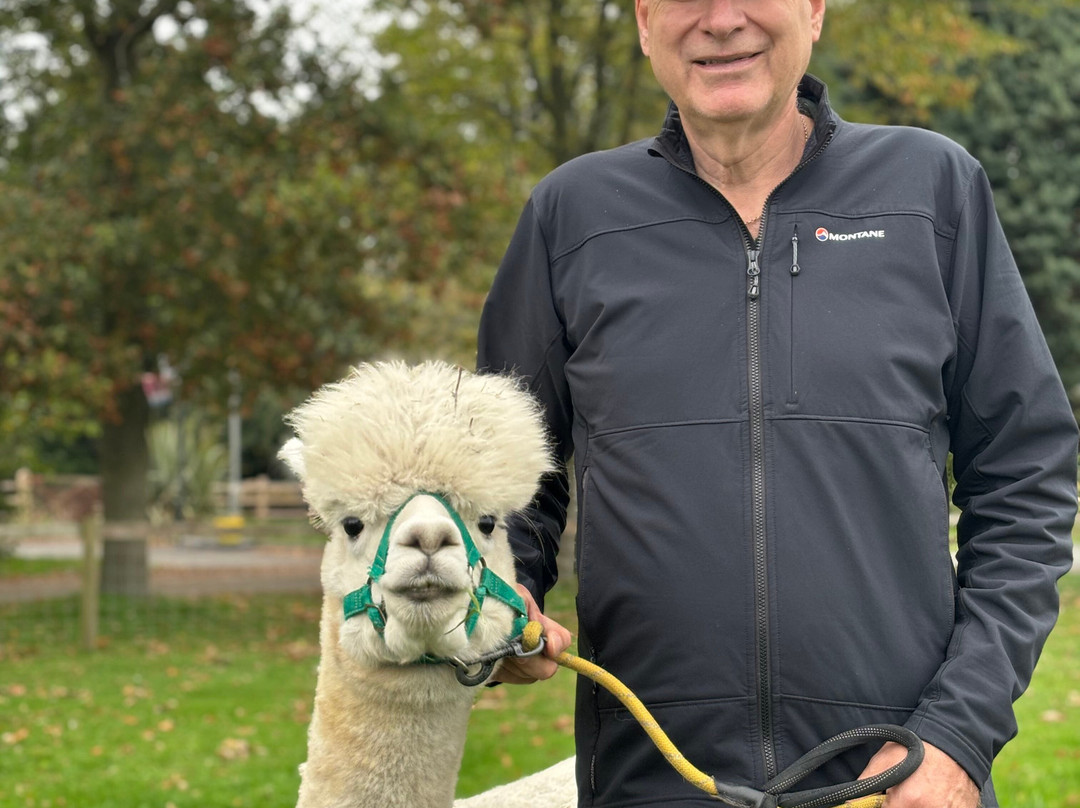 Cheshire Alpacas-Antrobus必去景点