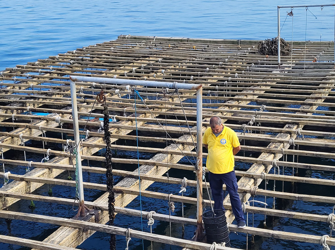 Cruceros do Ulla Turimares-格罗韦必去景点