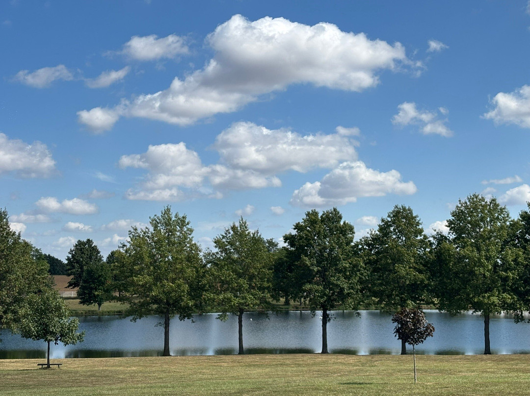 Arcadian Moon-Higginsville必去景点