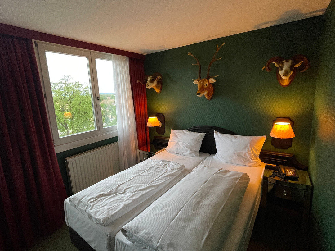 多瑙艾辛根温德姆花园酒店主图