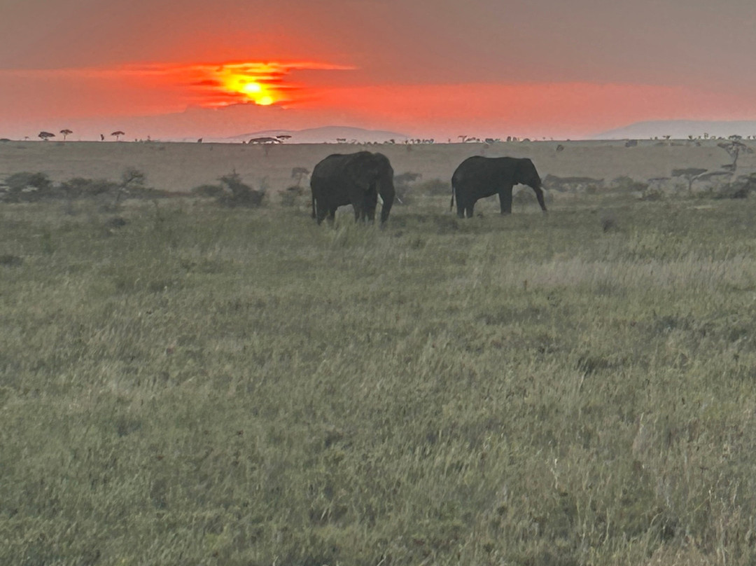 Access2Tanzania-阿鲁沙必去景点
