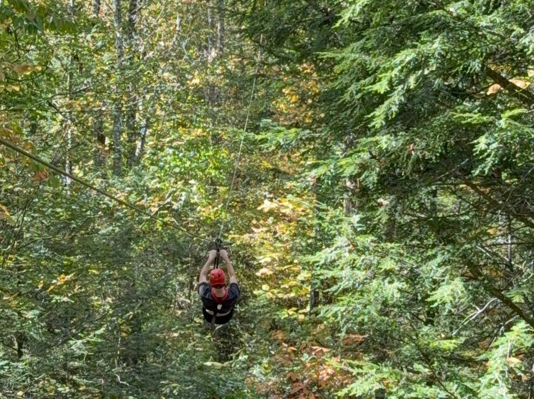 Red River Gorge Zipline-Campton必去景点