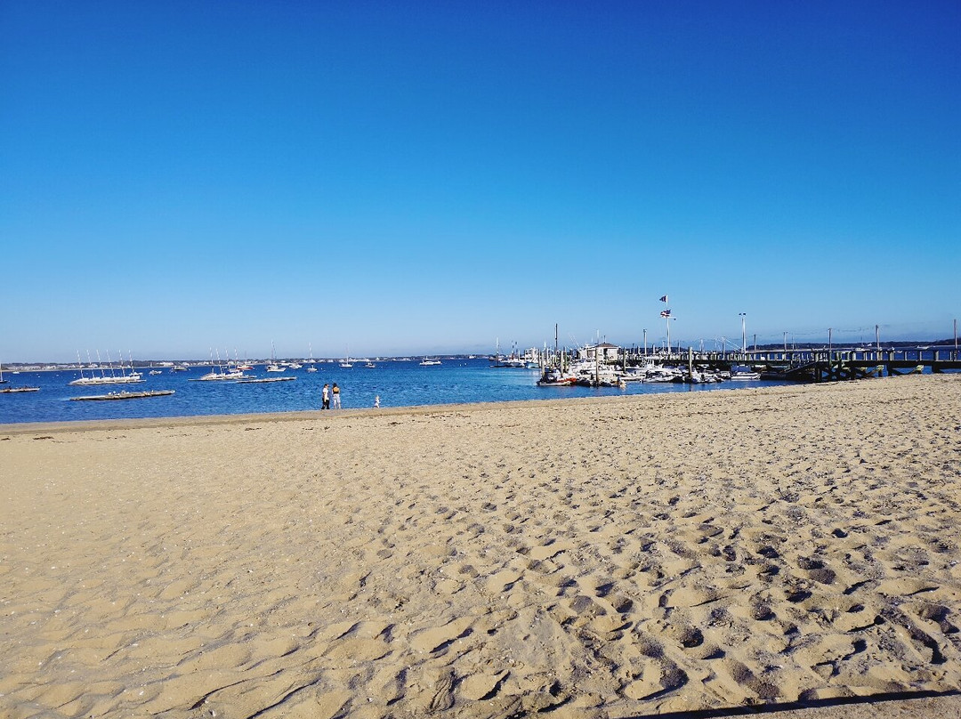 Veterans Memorial Park-海恩尼斯必去景点