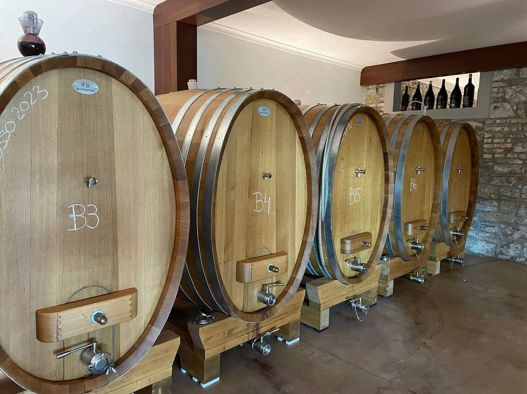 Tenuta Stella-Dolegna del Collio必去景点