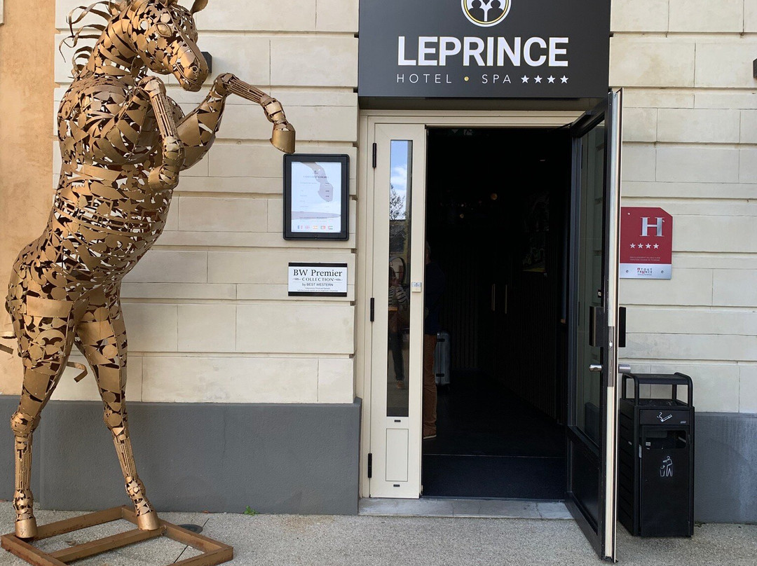 Leprince Hotel-Spa主图