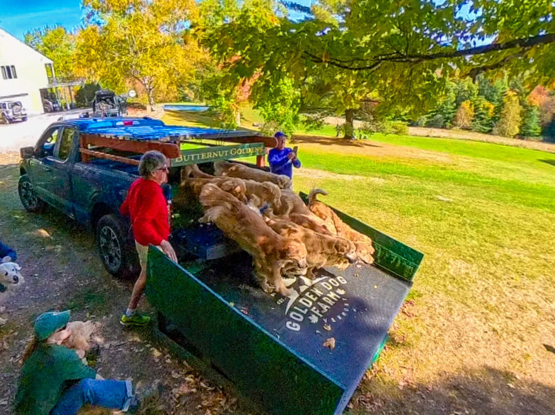 Golden Dog Farm-Jeffersonville必去景点