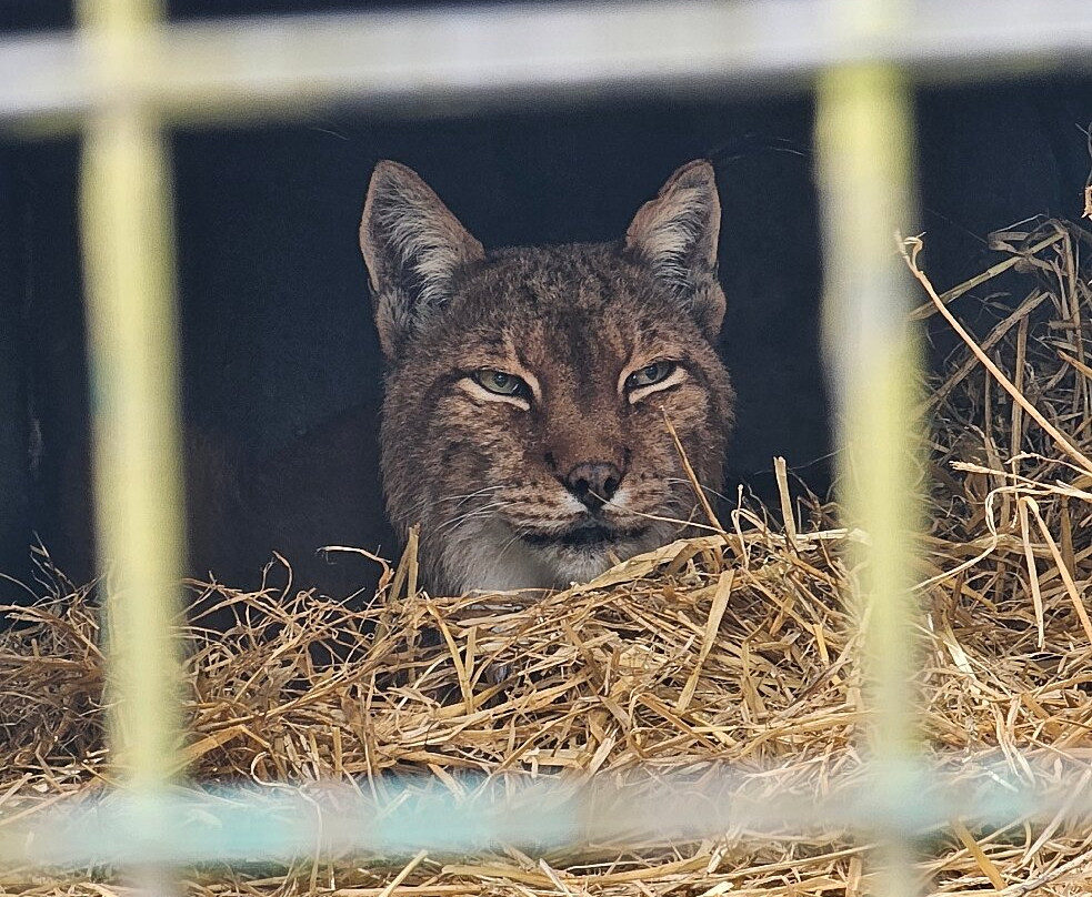 Five Sisters Zoo-West Calder必去景点