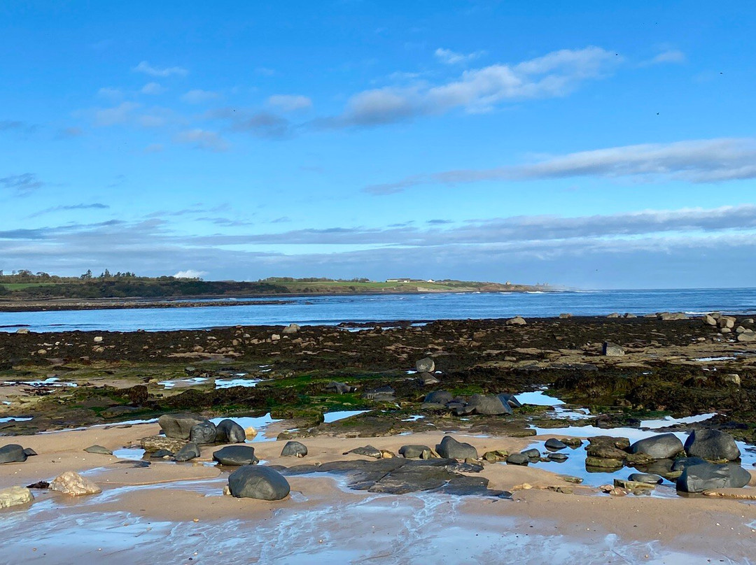 Dunstanburgh Castle Inn主图