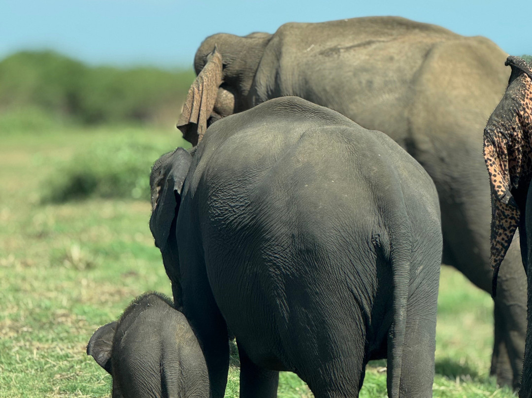 Tour Buddy-卡图纳耶克必去景点