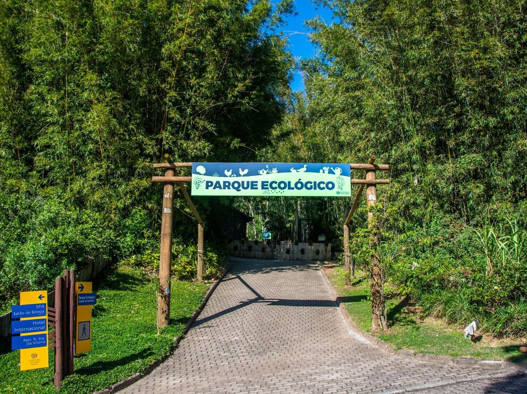 Costao Do Santinho主图