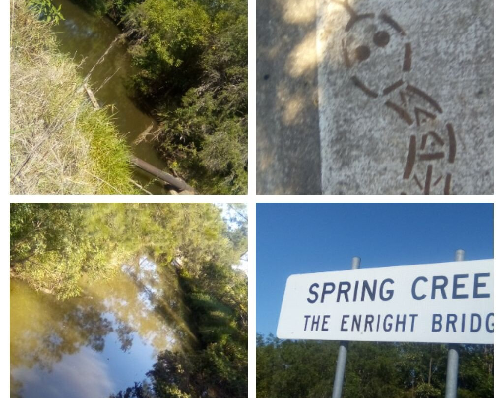 Walkway Spring Creek