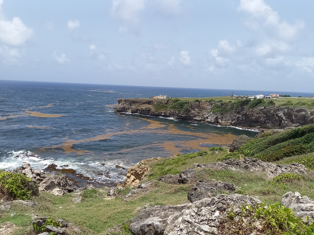 Ragged Point Lighthouse-Saint Philip Parish必去景点