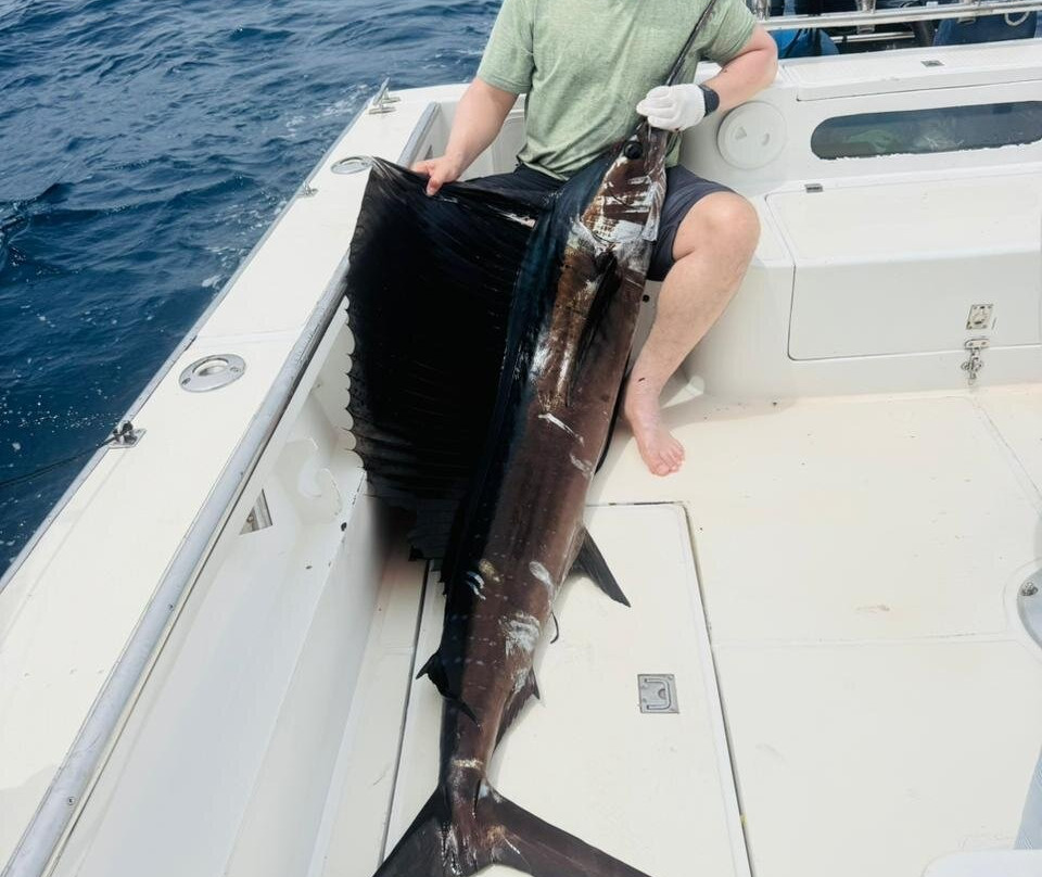 Billy's Charter-贝隆布尔必去景点