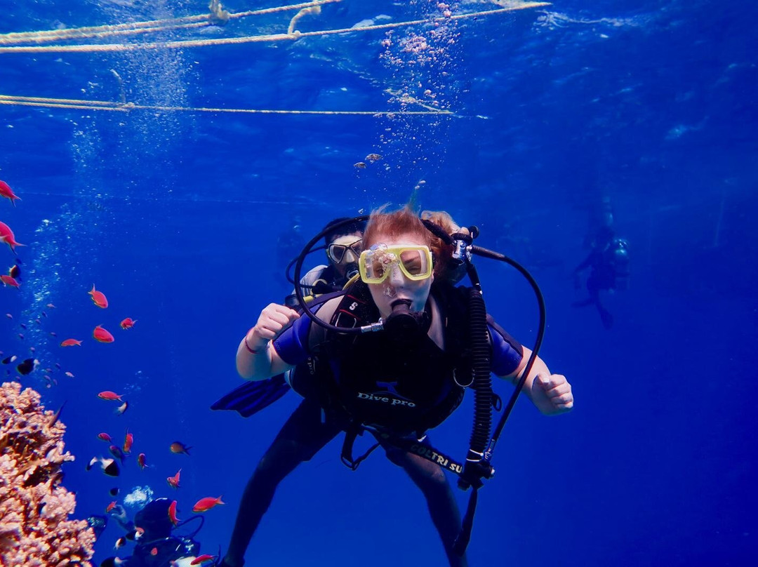 Blue Planet Diving Center-沙姆沙伊赫必去景点