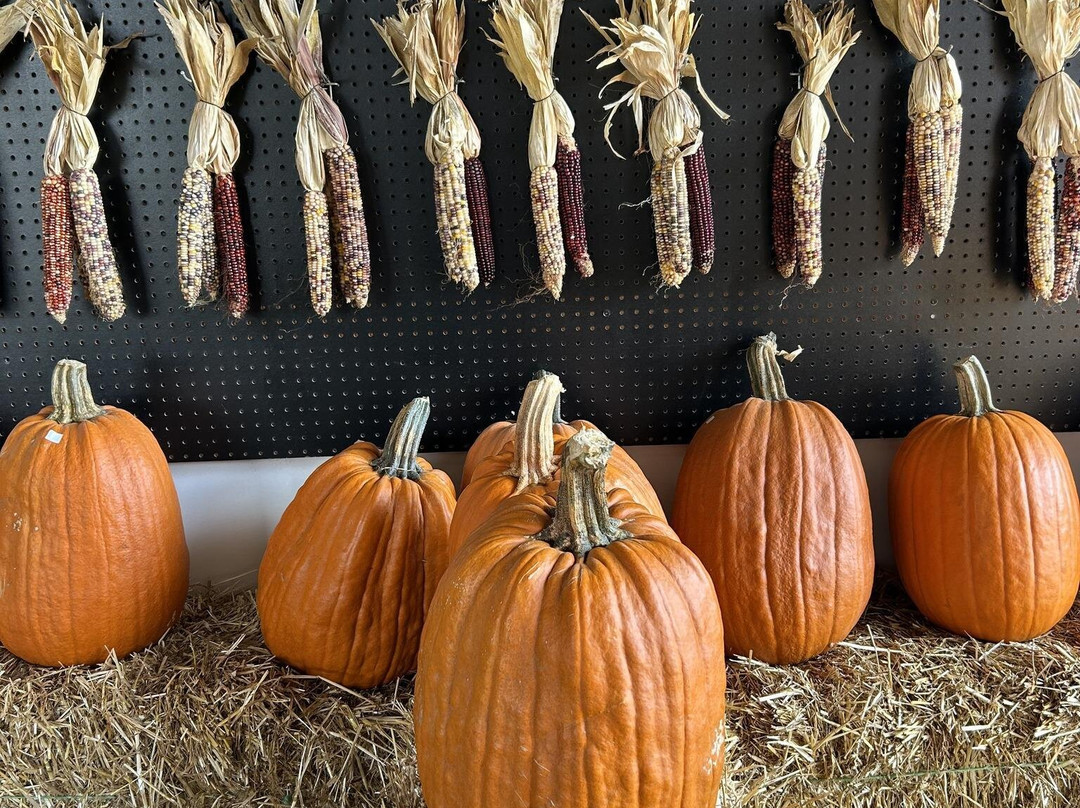 Pumpkins And More Farm Market-Ferdinand必去景点