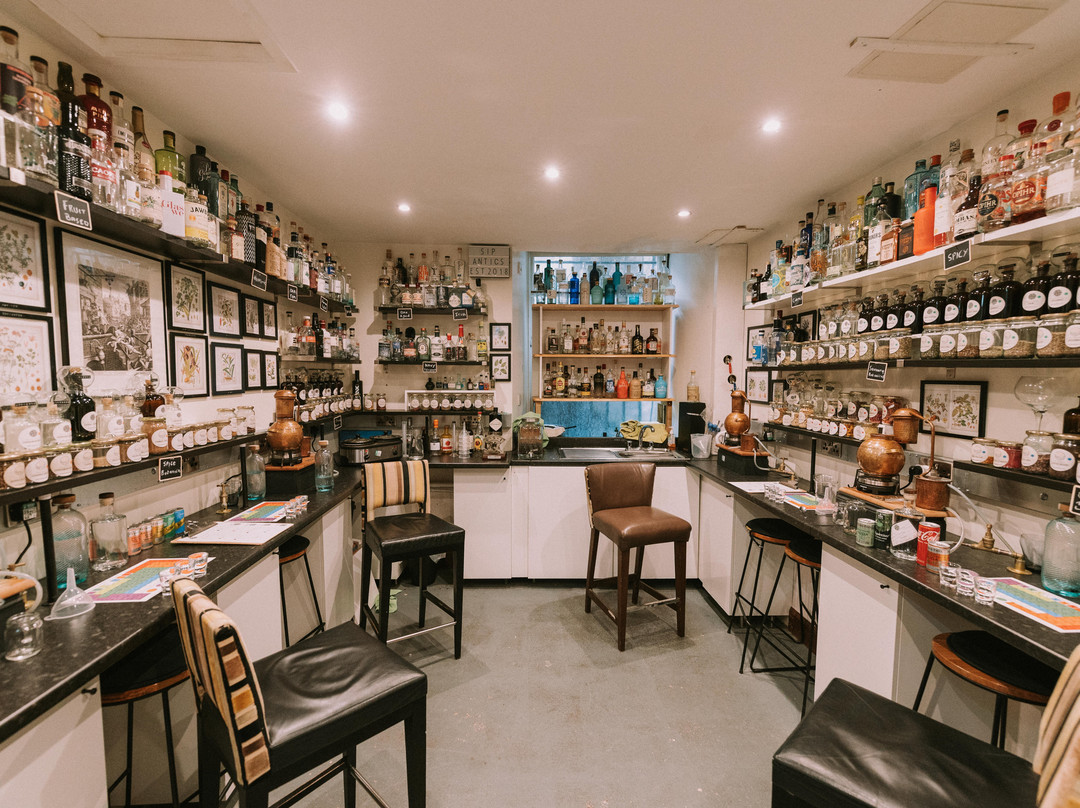 Sip Antics Distill School - Gin, Rum or Agave Spirit-爱丁堡必去景点