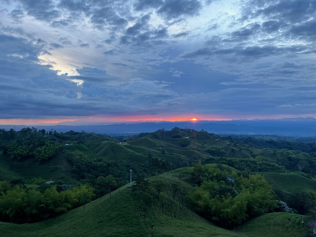 Lulo Colombia-波哥大必去景点