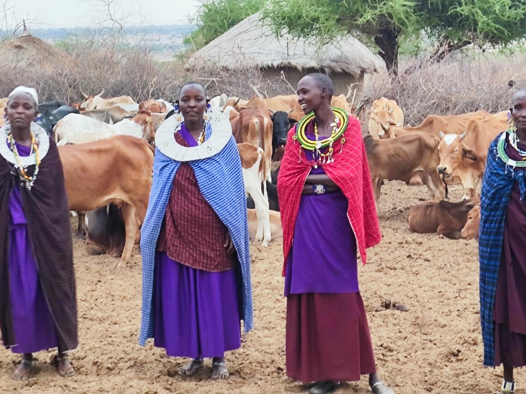 Komba Tanzania Safari-阿鲁沙必去景点