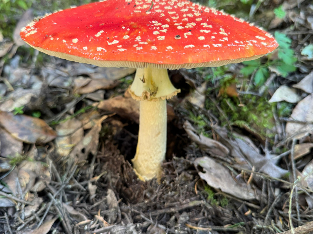 Hawks Adventures-Mineral del Chico必去景点