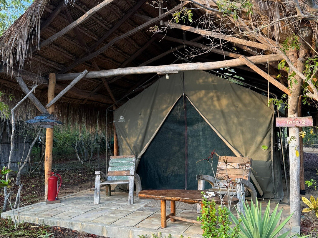 Sailaway Dhow Safaris-Vilanculos必去景点