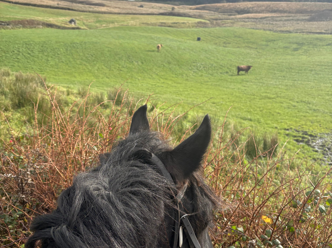 Mountain View Horse Riding Centre-Lisdoonvarna必去景点