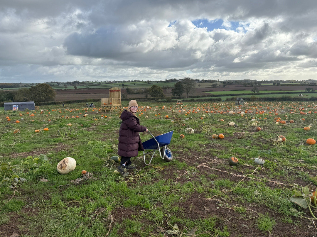 Tunstall Farm Park-Woodseaves必去景点
