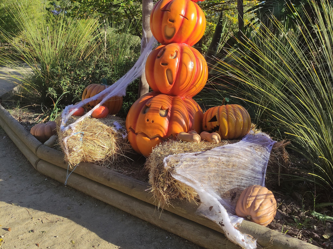 Jardin Exotique-Ponteilla必去景点