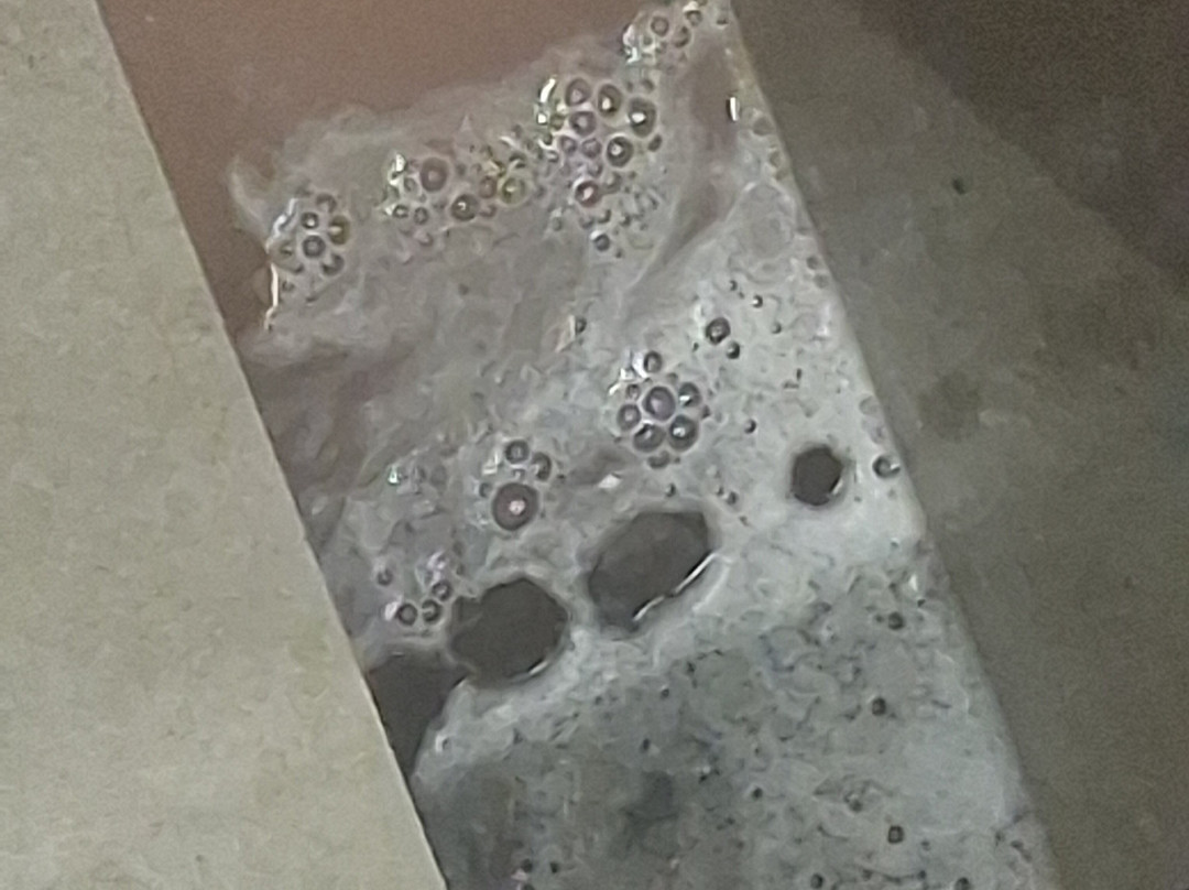 Park Hall Spa-Charnock Richard必去景点