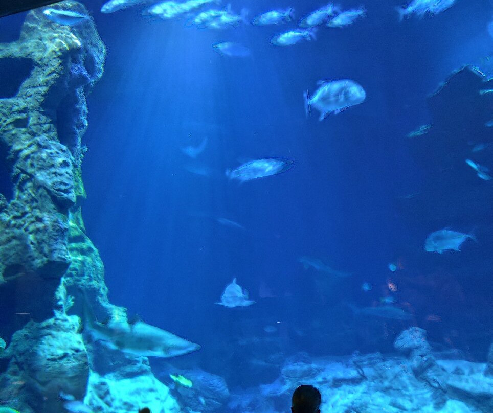 Planet Ocean Montpellier-蒙彼利埃必去景点