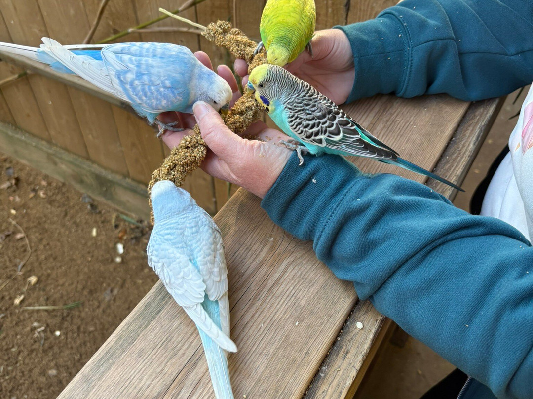 Lincolnshire Wildlife Park-Friskney必去景点